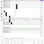top forex managed services