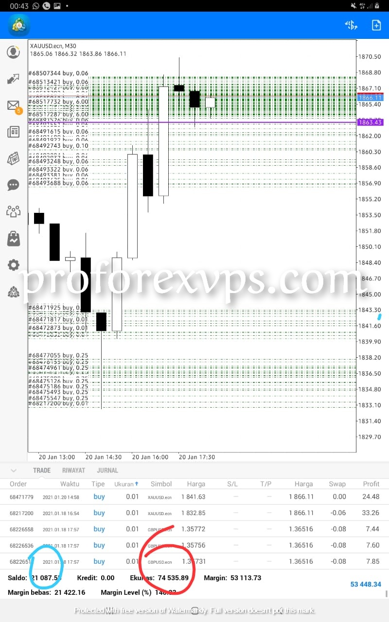 top forex managed services