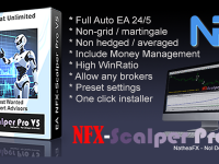 the best forex expert advisor for scalping with consistency profits
